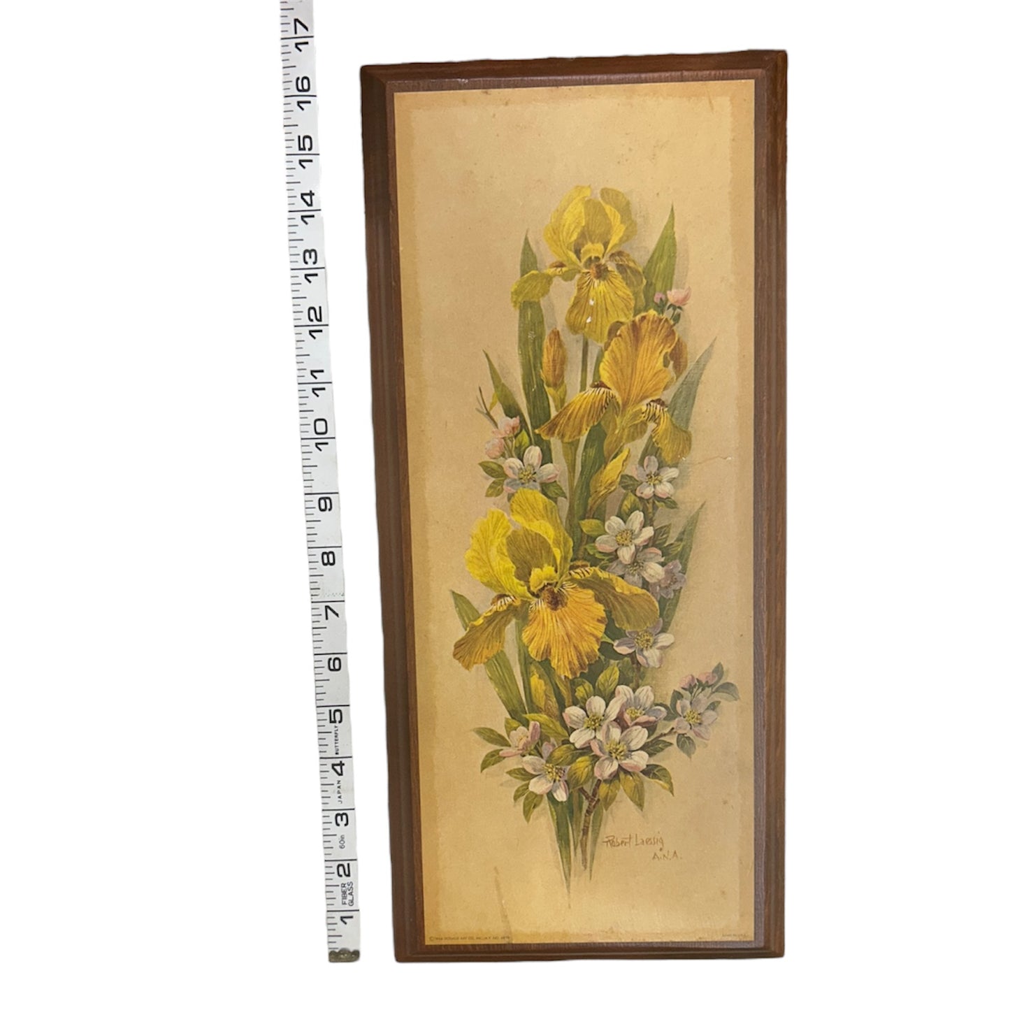 1966 Robert H. Laessig Flower Art Prints - Vintage