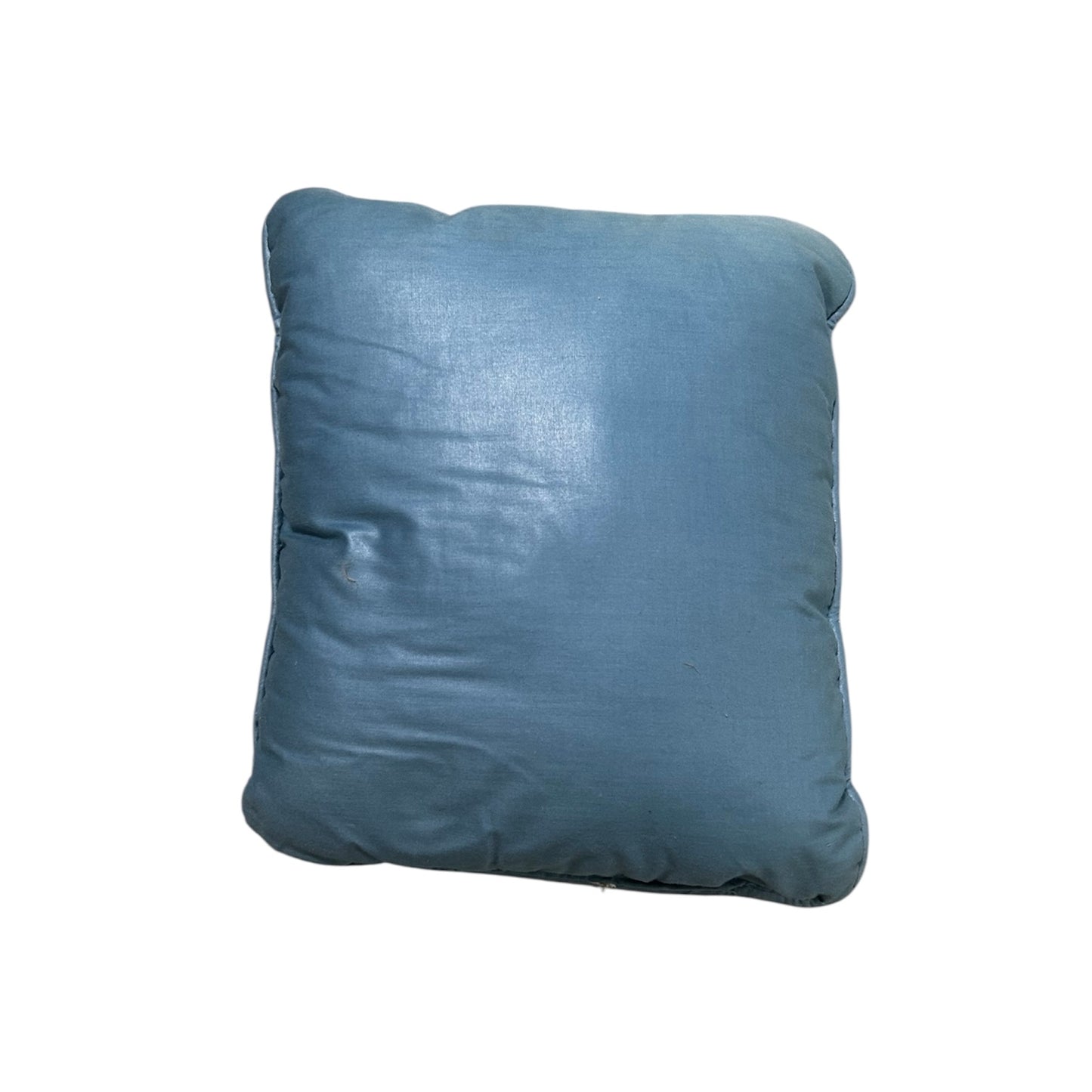 Butterfly Throw Pillow