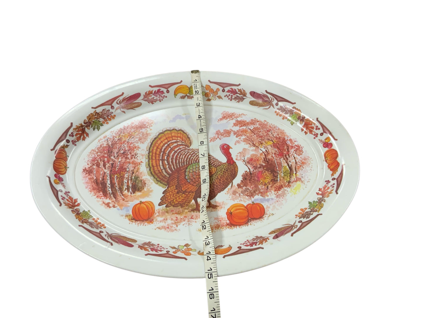 1970s Turkey Platter - Vintage